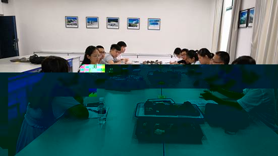 成果交流合影0 組合