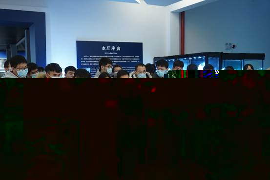 說明: DSC02873